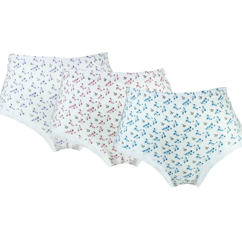 MAXITROSA, 3-PACK